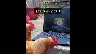 Chicken opening CSGO Case #shorts