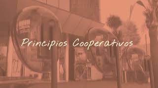 Participación económica de los asociados | Cooperativa de Tortuguitas #PrincipiosCooperativos