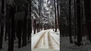 Usho Forest - Kalam valley 🇵🇰😍 #kalam #swatvalley #quetta #peshawar #lahore #karachi #kashmir #snow