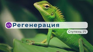 «Ку́м рэдженэрату́р» — развитие регенерации