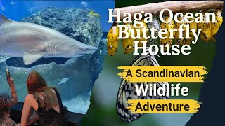 Explore the Haga Ocean Butterfly House | A Scandinavian Wildlife Adventure