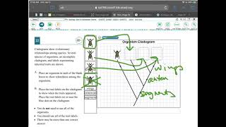 Bio 4-8 structural cladogram questions discussion