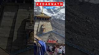 Jai Shree Kedar #kedarnathtemple #devbhoomi #uttarakhand #kedarnath #harharmahadev #shiva #shiv