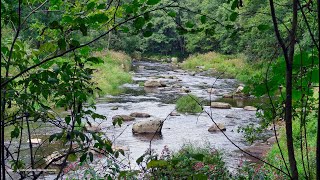 Waldnaabtal   - Teil 1 -