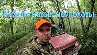 Разведка новых мест охоты. Exploration of new hunting grounds.