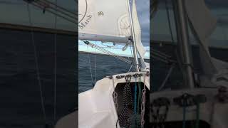 Solo sailing on a windy day