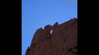 #Shorts Garden of the Gods Colorado Springs, Co