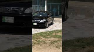 Black queen 🤣 | E-120 | Toyota corolla 2007 #carlovers #sports