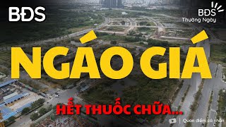 Bất động sản 2024 Bế Tắc, Không lối thoát - Ngáo giá khắp nơi | BĐS Thường Ngày