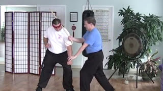 Intermediate Taiji (Tai Chi):  Short Weapons, Supplemental Hand Techniques with Taiji Cane, Part 2