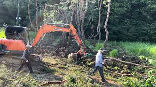 কোরিয়ানরা যেভাবে বন তৈরি করে|| How Koreans made a forest over night