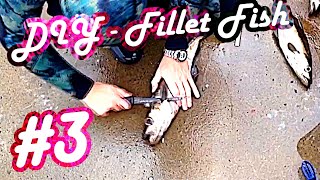 #3 Learn Spearfishing Series - How to fillet a Fish