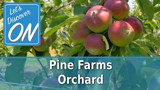 PINE FARMS ORCHARD - Let's Discover ON