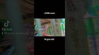 পাখির মেলা । পাখি। টুনটুনি পাখি।vairal. https://youtube.com/@noyonhasanjoy10?si=fZeGl5JDlh6bW1eT