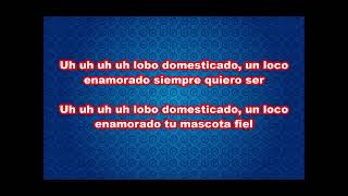 Karaoke Lobo Domesticado - Tommy Olivencia