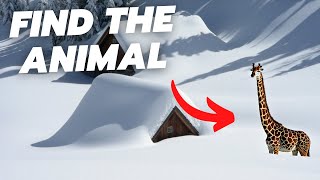 Find The Animal Hidden In The Snow