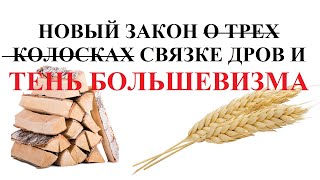 За хранение дров без документов до 7 лет тюрьмы