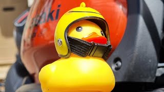 Introducing "Quackers" the Duckie | Kawasaki Vulcan S MOTOVLOG