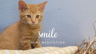 Smile Day 18 #meditationchallenge  #meditationjourney