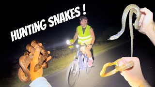 Snake Hunting in the Everglades!