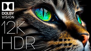 WORLD OF ANIMALS IN DOLBY VISION™ | HDR 12K 60FPS (TRUE CINEMATIC)