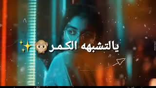 نور الزين محمد عبدالجبار حبك كبر __حالات واتس اب (360P)