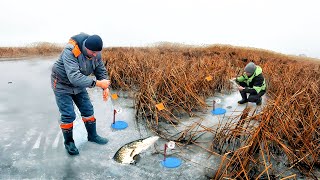 КОЛЯН, БЕГИ... РЫБНАДЗОР!!! ПЕРВЫЙ ЛЁД 2023 ЩУКА на ЖЕРЛИЦЫ. Зимняя Рыбалка 2023