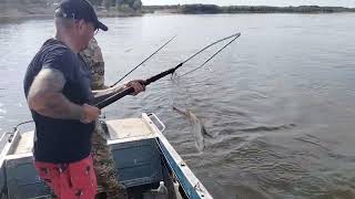 отличное утро,охота удалась,#fishing #калмыкия #volga #цаган