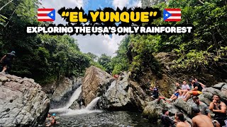 Epic El Yunque Rainforest Hike: Unforgettable Adventure in Puerto Rico 🌿 | #explore