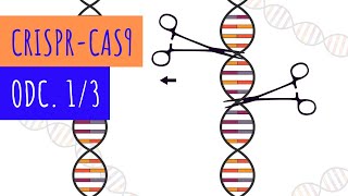 Część 1/3 - Nożyczki genetyczne, czyli jak edytować geny za pomocą CRISPR-Cas9