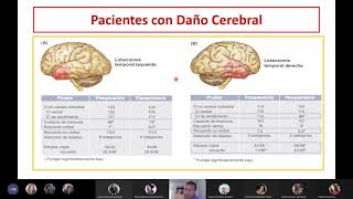 Asimetría Neurofuncionales