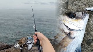 29/05/2024 🎣 Light spinning in scogliera alla ricerca del sarago - grufolatori col minnow? 🤯