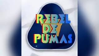 Resumen de Pumas Vs Veracruz (2018)