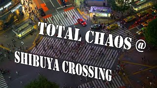 Chaos @ Shibuya Crossing_S05E01