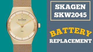 Battery Replacement For Skagen SKW2045 Watch