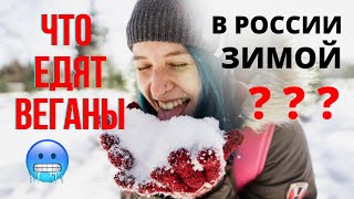 ЧТО ЕДЯТ ВЕГАНЫ ЗИМОЙ В РОССИИ || как они выживают без мяса, молока, яиц и даже мёда || VEGAN FAMILY