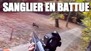 Chasse Sanglier - Tir d'un sanglier en battue