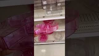 New Target Dollar Spot Finds - Organizers