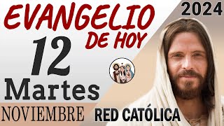 Evangelio de Hoy Martes 12 de Noviembre de 2024 | REFLEXIÓN | Red Catolica