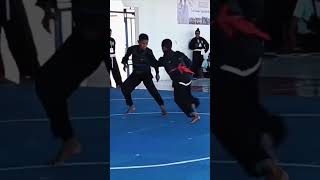 sapuan blakang😯,Perisai Diri🥋[PD]