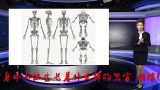 为什么欧美人有206块骨头, 中国人只有204块? 看完我知道了