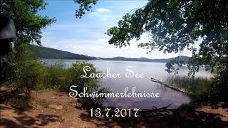 Laacher See Wasserwelt