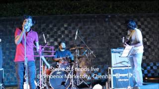 Stevie & Friends live