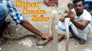 Traditional street snake performers ! Amazing Snake Showing by Snake Charmer