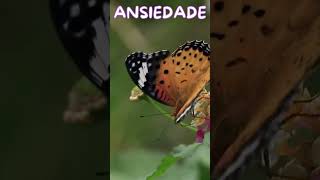 ansiedade