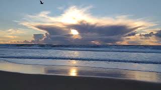 Gray Whale Cove State Beach | Half Moon Bay, CA