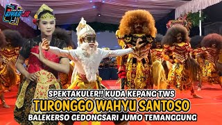 SPEKTAKULER!! KUDA KEPANG TWS TURONGGO WAHYU SANTOSO BALEKERSO GEDONGSARI JUMO