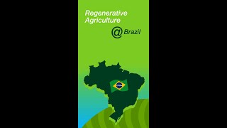 Regenerative Agriculture in Brazil - Cover Crops