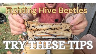 How to kill Hive Beetles #hivebeetles