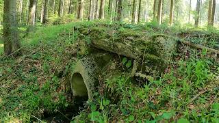 #1 Waldbahn Weinsberger Forst (Gutenbrunn (NÖ) - Bärnkopf (NÖ))